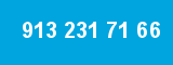 913 231 71 66